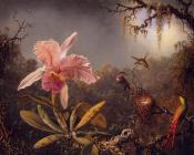 Cattleya Orchid and Three Brazilian Hummingbirds - 马丁·约翰逊·赫德